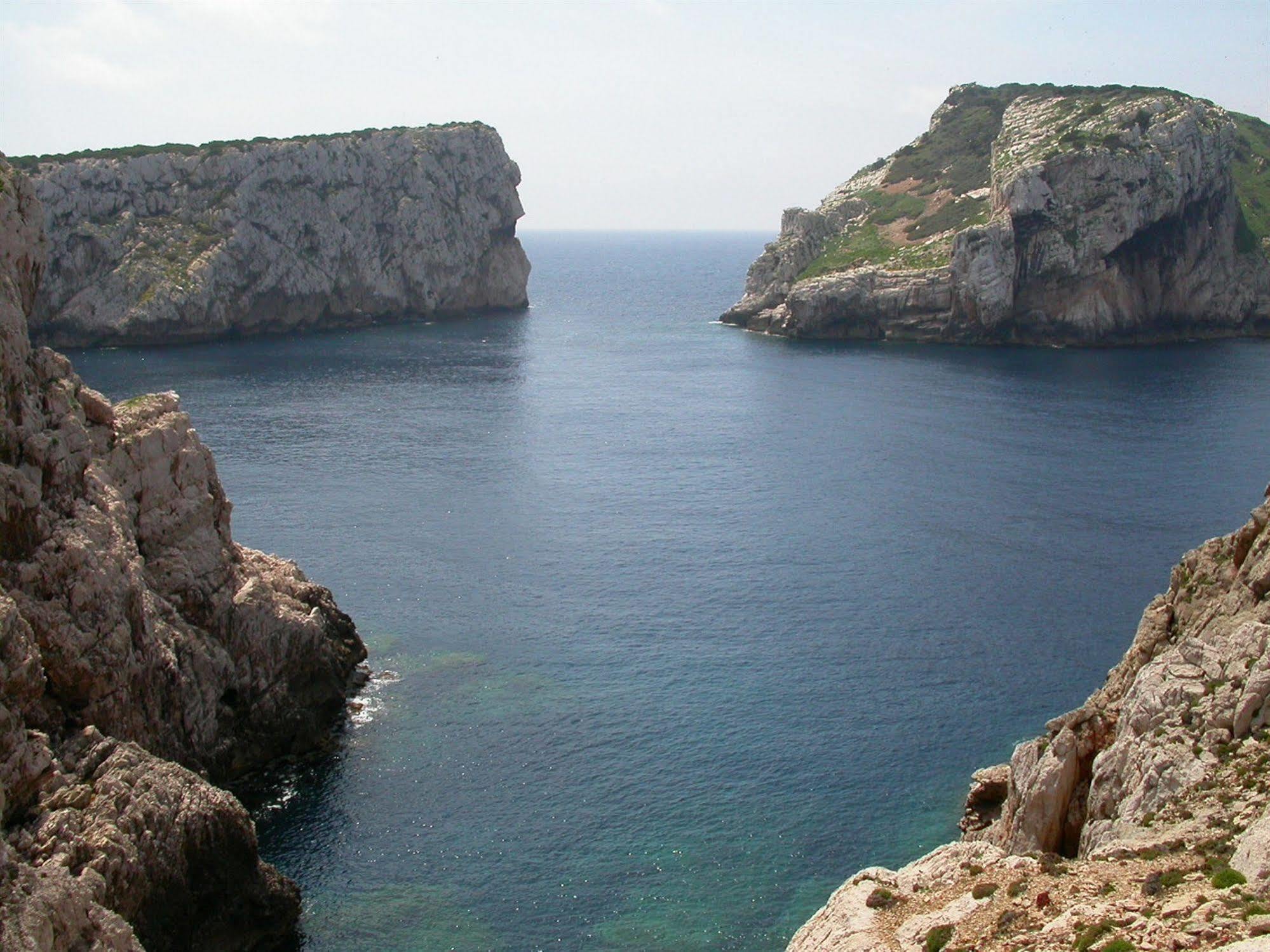 Gardenia Alguer